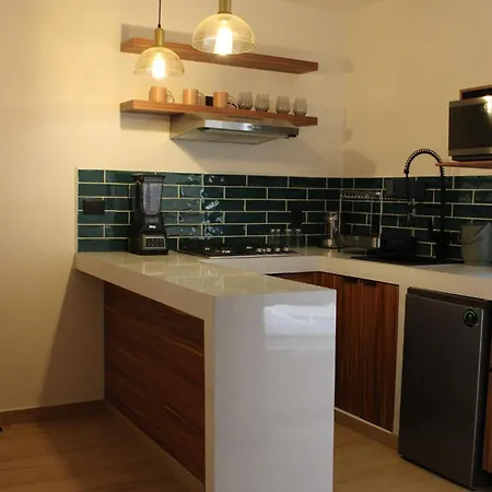 Coliving Roma Norte Loft Gaviota