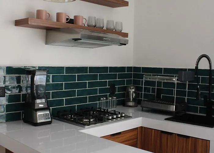 Coliving Roma Norte Loft Gaviota Apartamento *